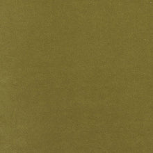 Cargar imagen en el visor de la galería, Bella FR Velvet Fabric