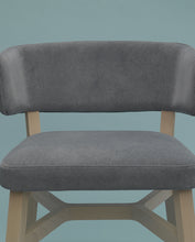 Cargar imagen en el visor de la galería, Pelle Aquaclean Fabric