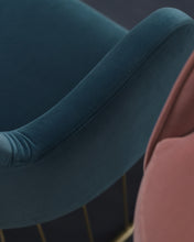 Cargar imagen en el visor de la galería, Bella FR Velvet Fabric